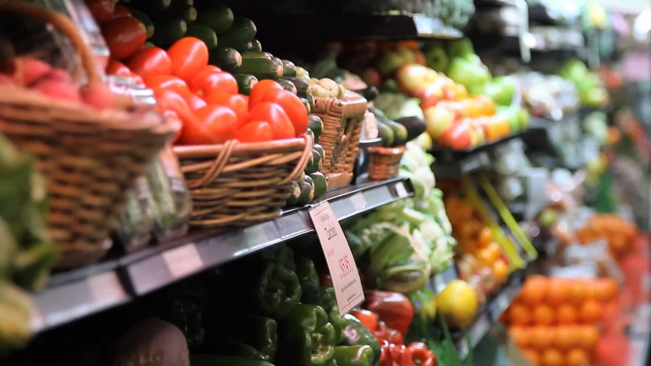 Backdrop – Hungry for Change