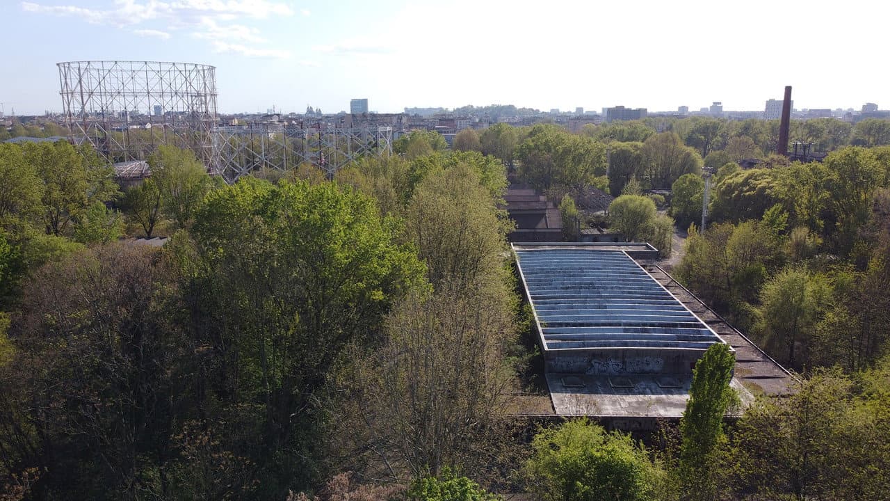 Backdrop – La Goccia - Il bosco nella città, la città nel bosco