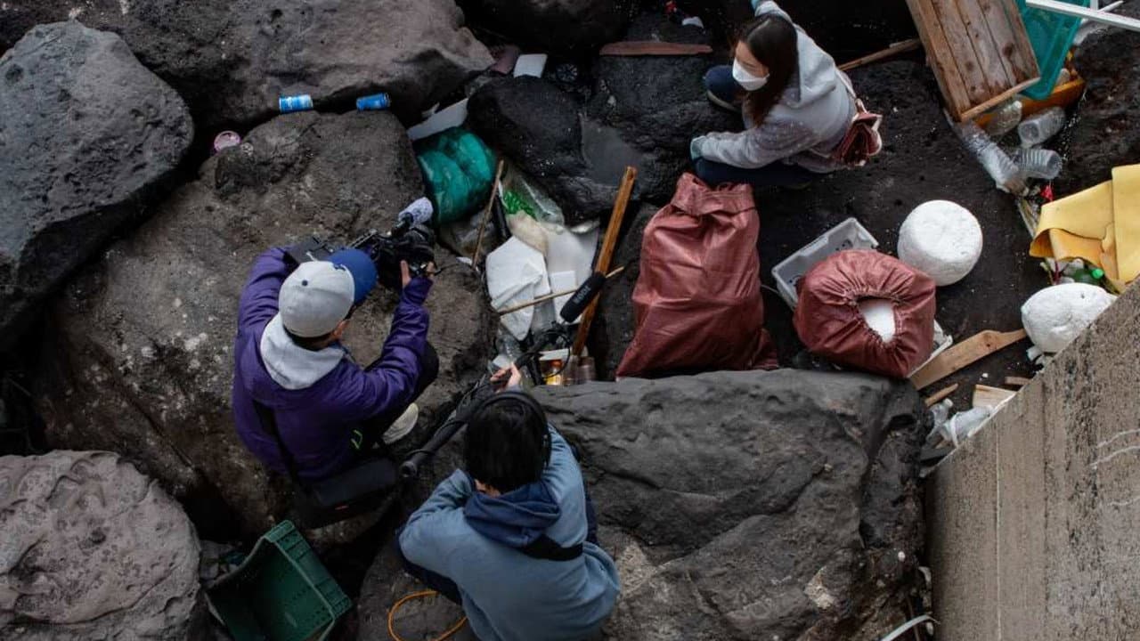 Backdrop – 제로웨이스트