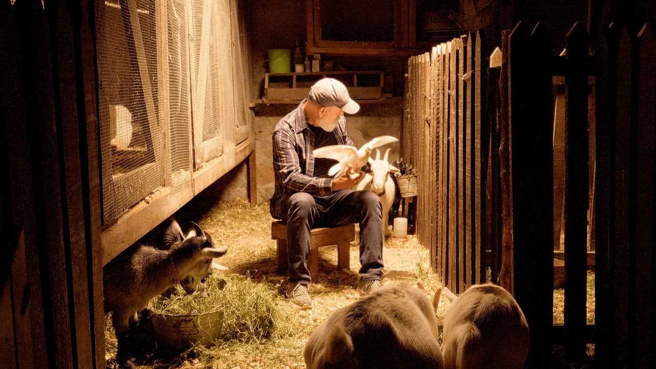 Backdrop – Home Again