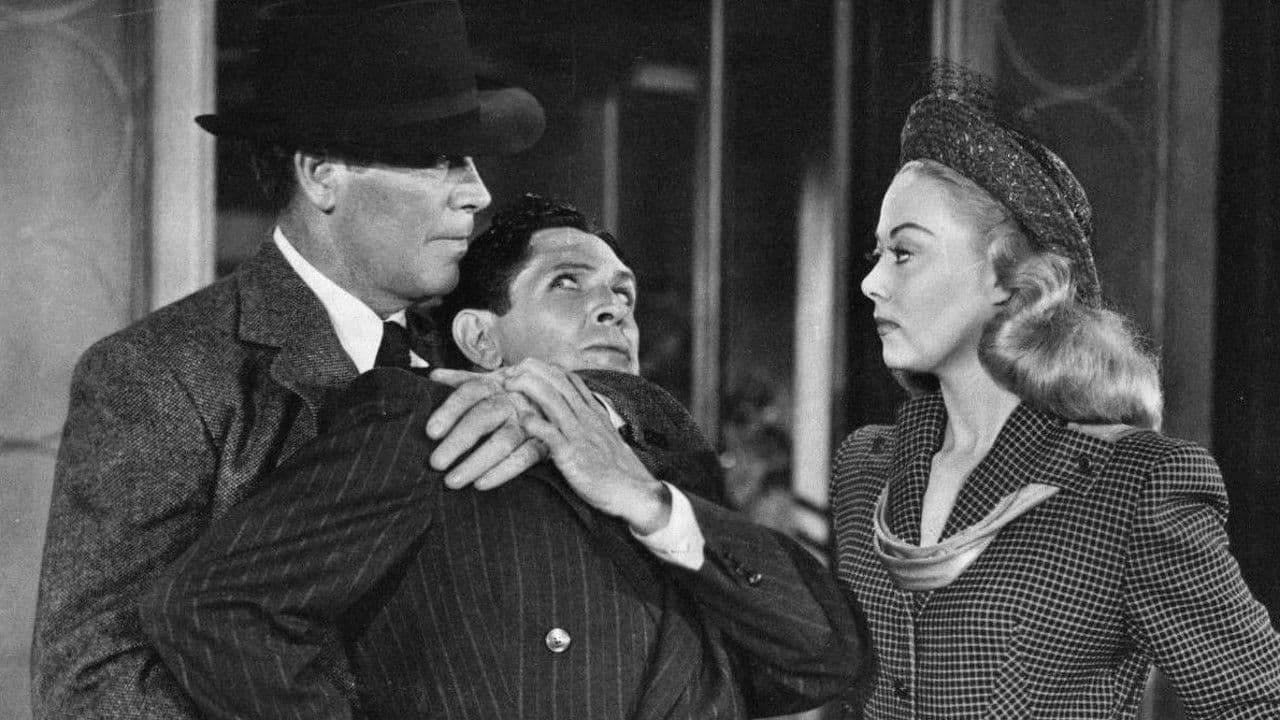 Backdrop – Exposed