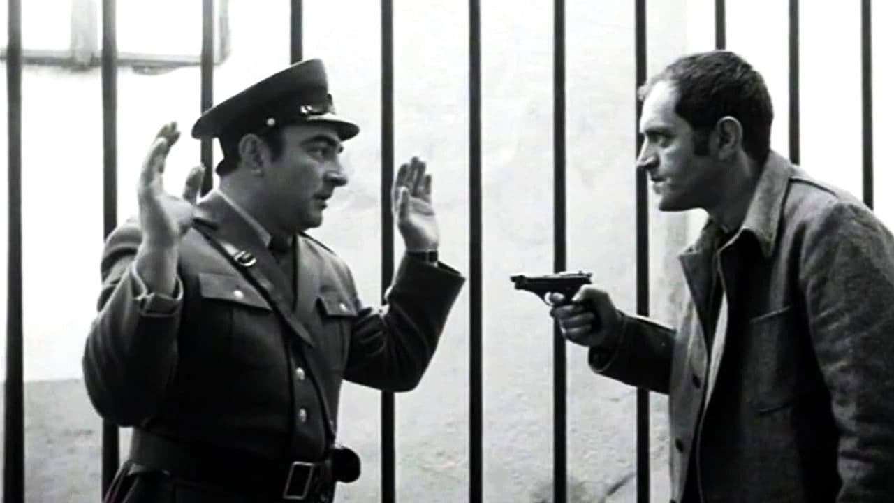 Backdrop – Zazidani