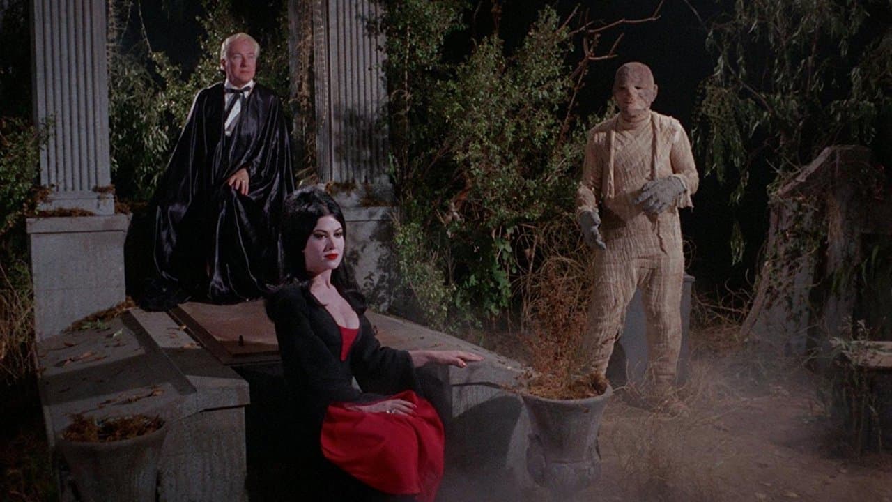 Backdrop – Orgy of the Dead