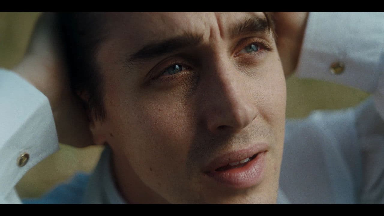 Backdrop – Midnight Coachmen