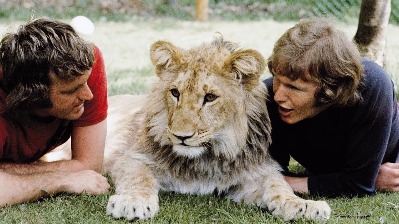 Backdrop – A Lion Called Christian