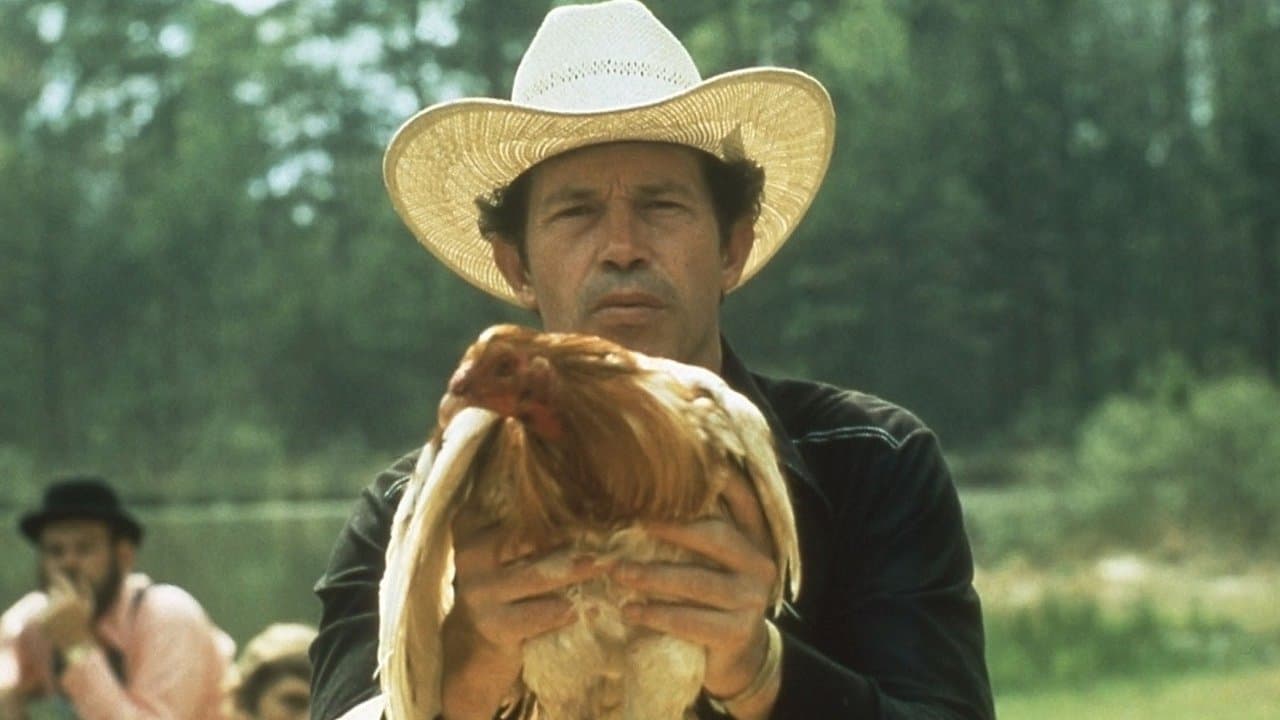 Backdrop – Cockfighter