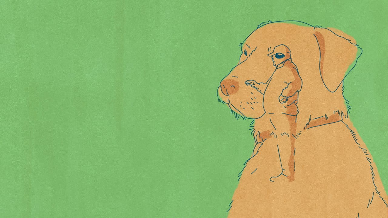 Backdrop – Old Dog