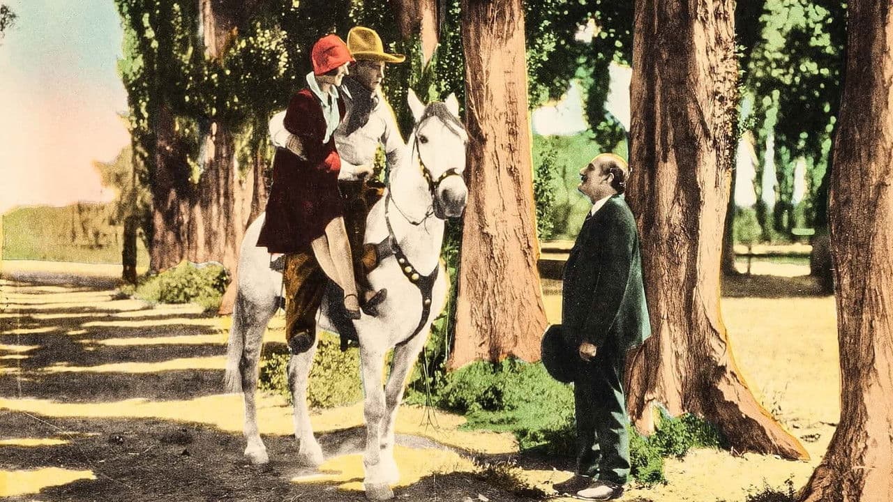 Backdrop – Black Jack