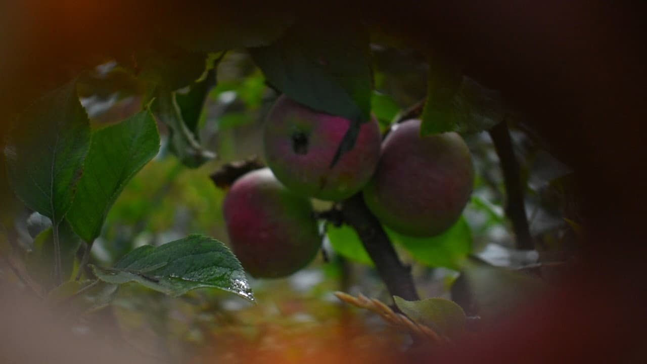 Backdrop – We Exist Triply