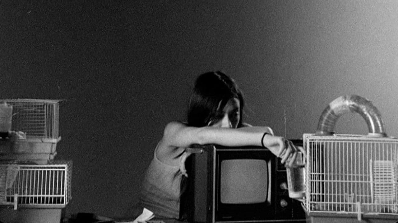 Backdrop – Letters to Paul Morrissey