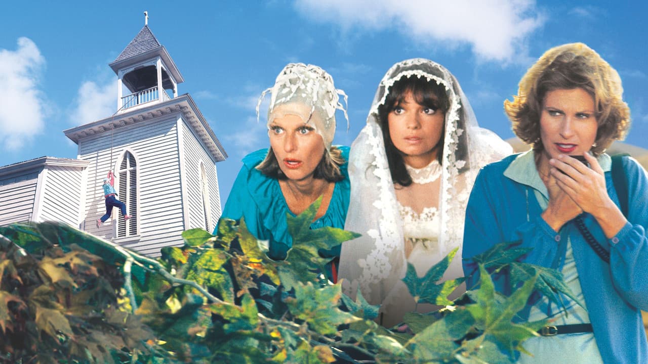 Backdrop – Eine ganz irre Truppe