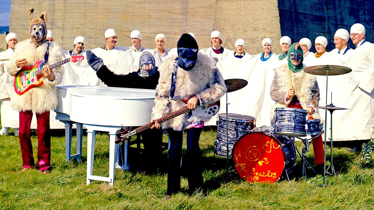 Backdrop – Magical Mystery Tour Revisited