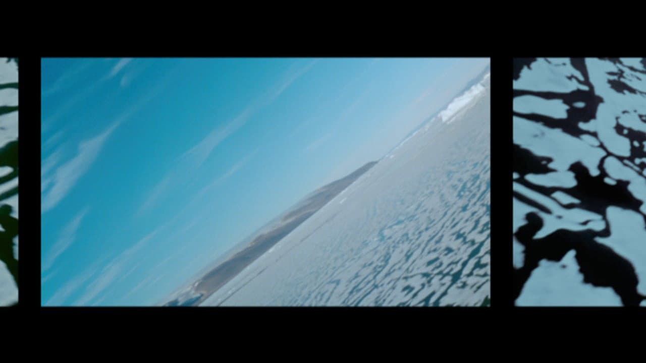 Backdrop – Polar Life