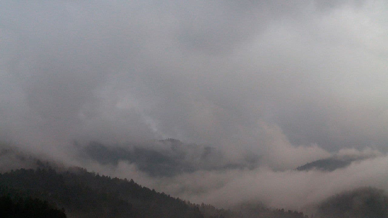 Backdrop – Silencio