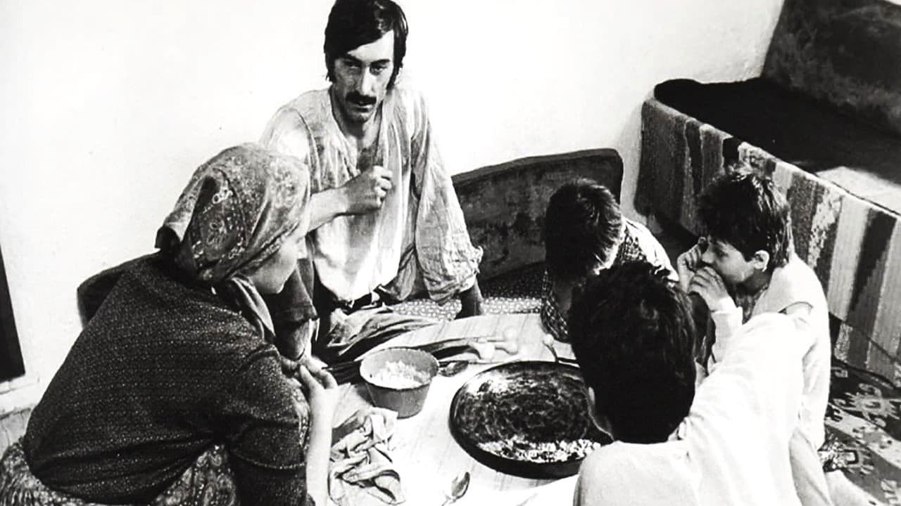 Backdrop – Ovo malo duše