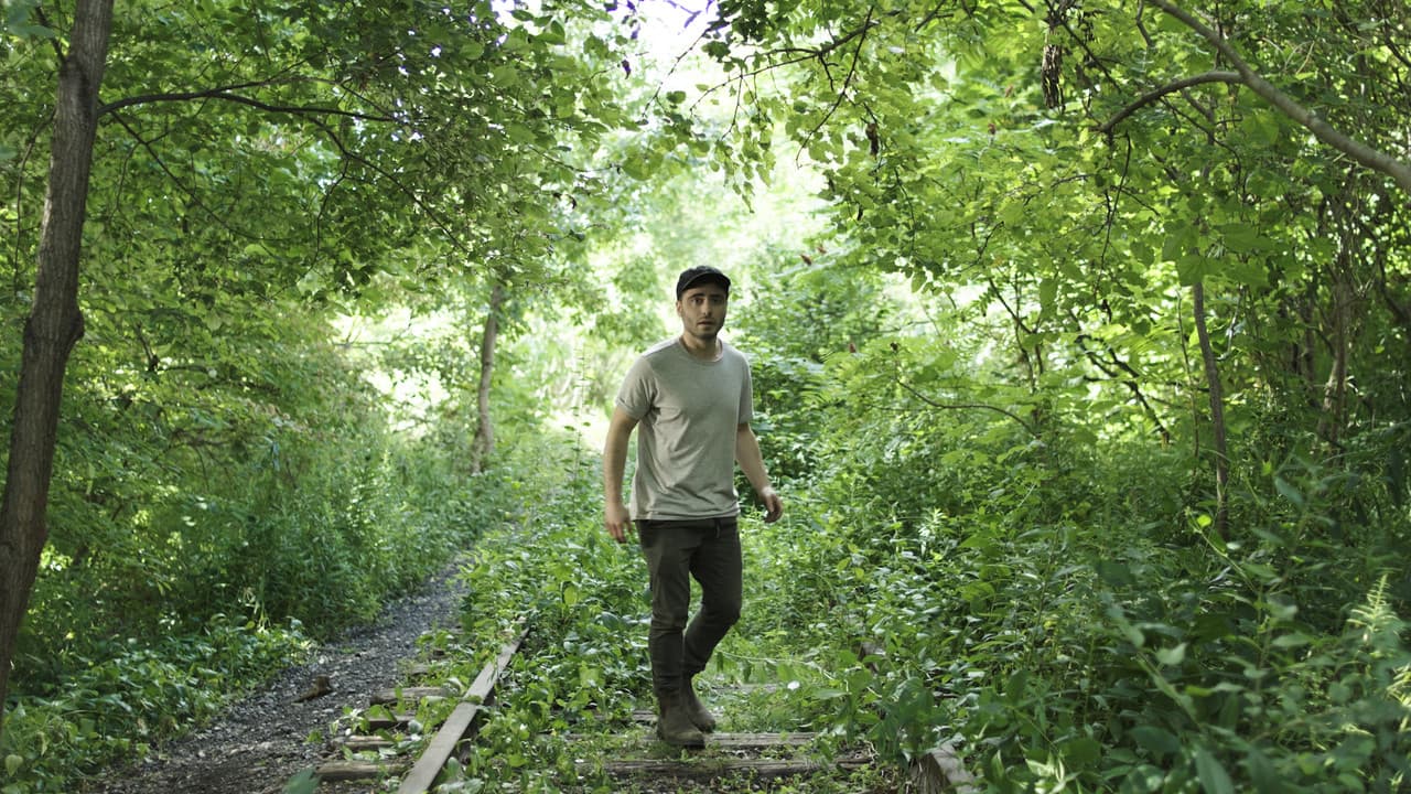 Backdrop – TRAINTRACKS