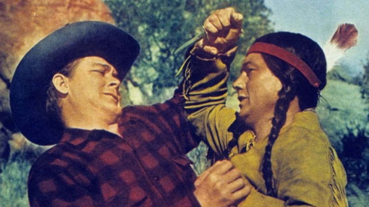 Backdrop – Wild Stallion