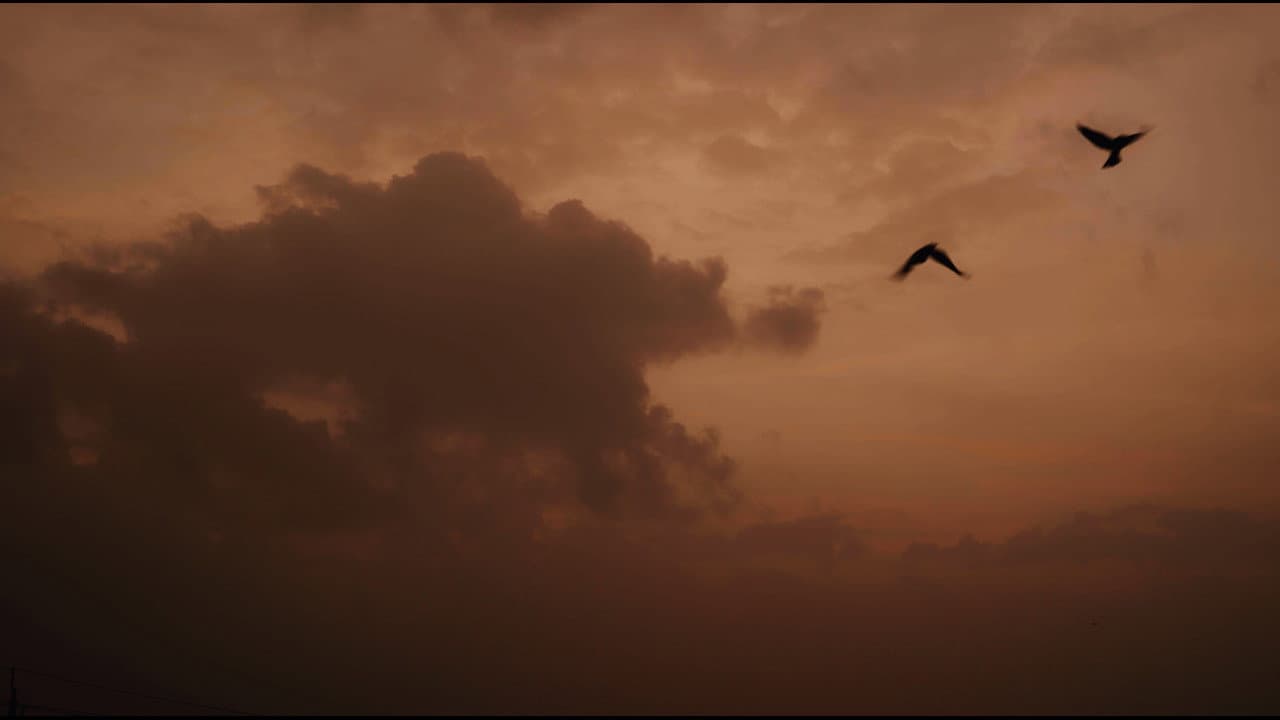 Backdrop – Lighthouse