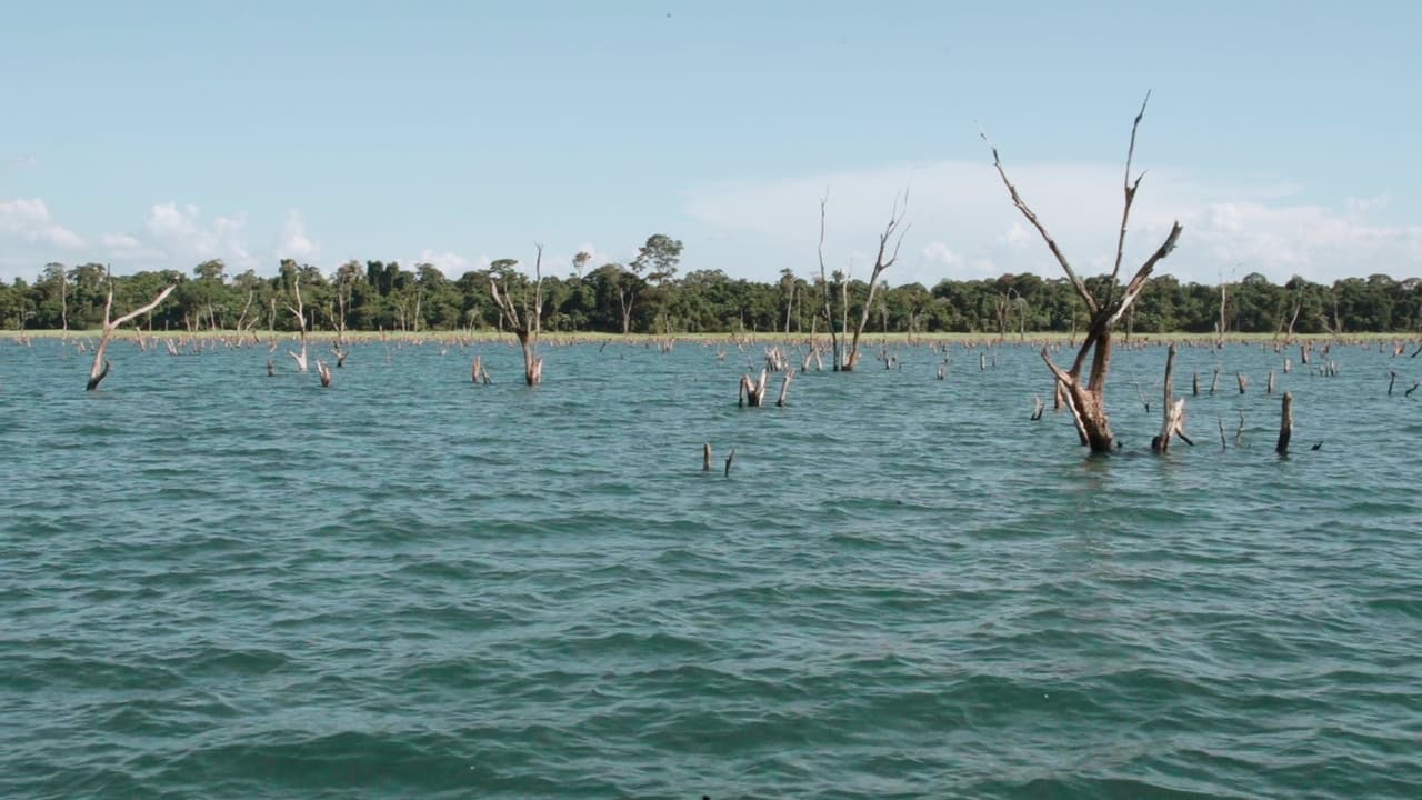 Backdrop – Ontem Lembrei de Minha Mãe