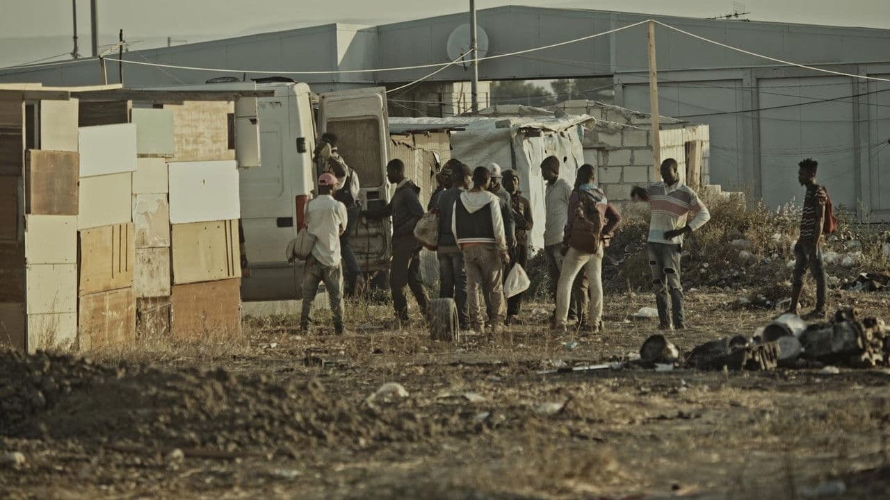 Backdrop – One Day One Day