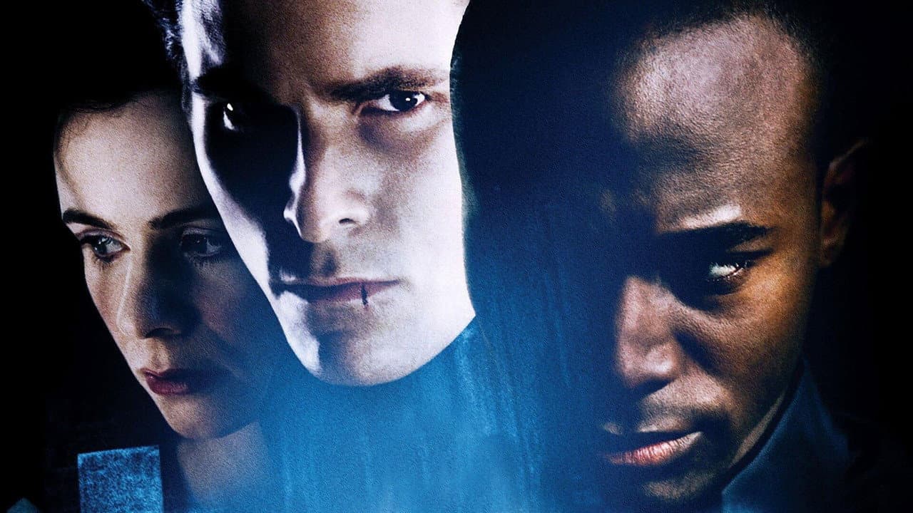 Backdrop – Equilibrium