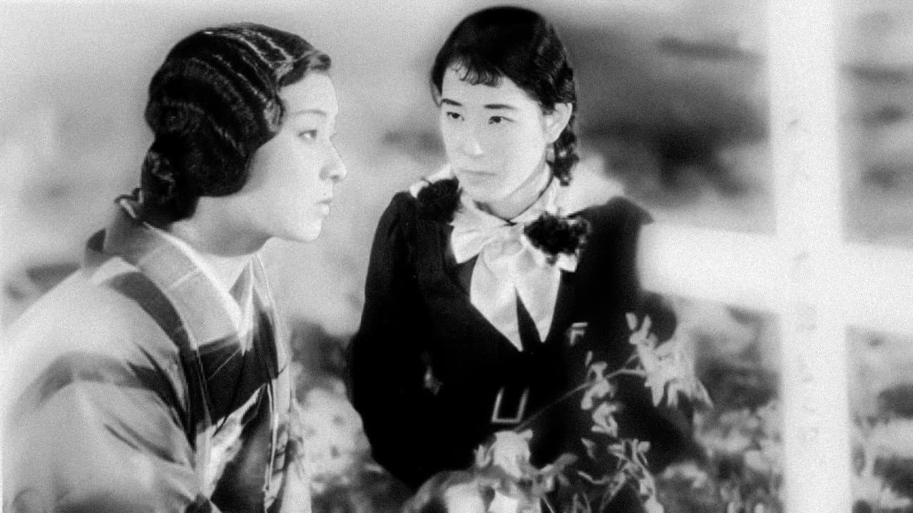 Backdrop – 乙女シリーズその一　福寿草