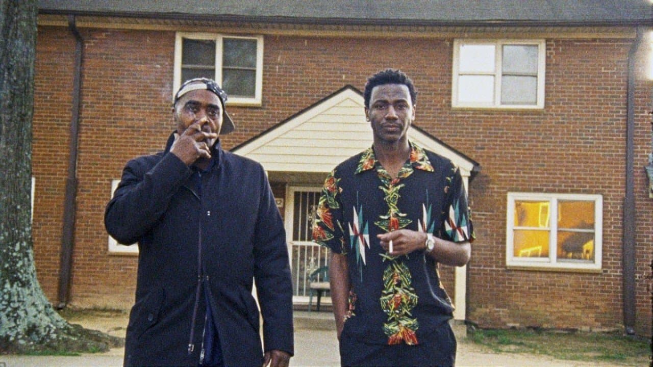 Backdrop – Sermon on the Mount