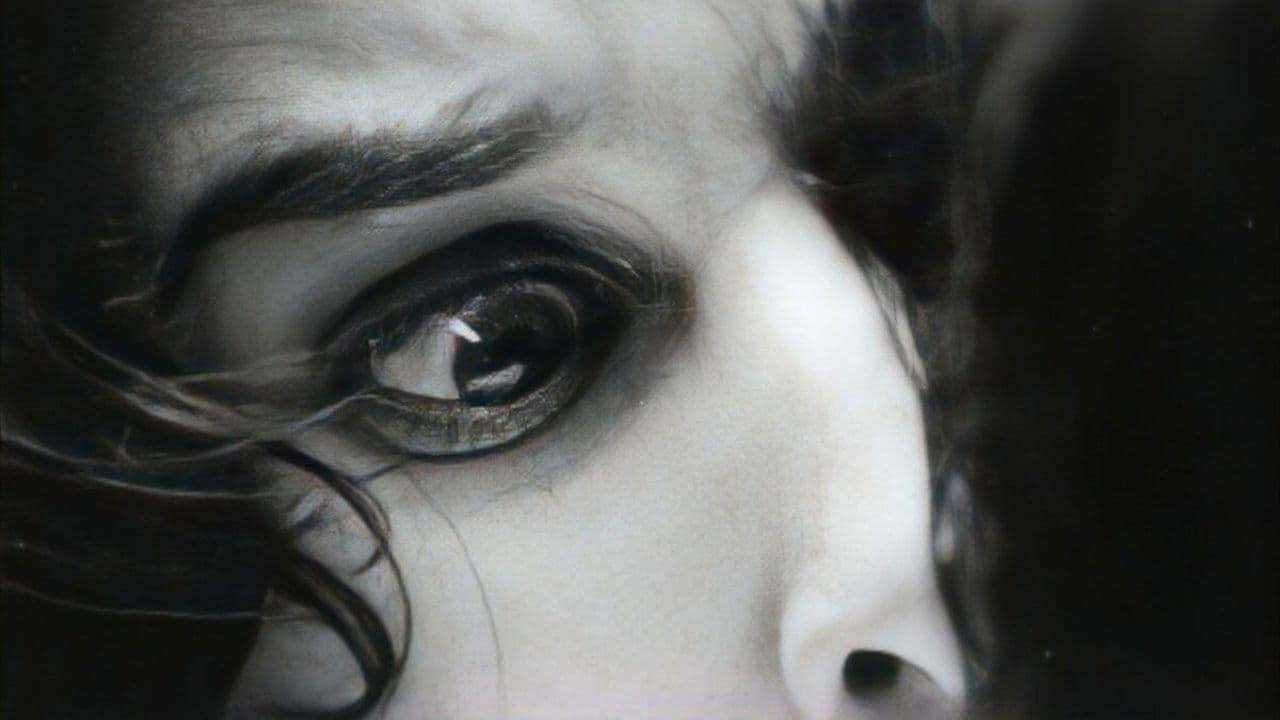 Backdrop – Kitchen Sink