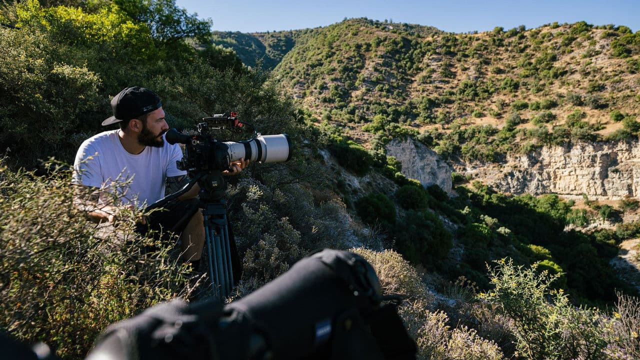 Backdrop – Life with Vultures