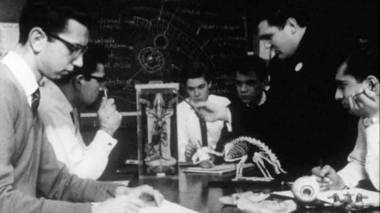 Backdrop – Comprehensive School