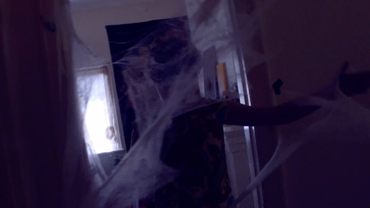 Backdrop – Along came a spider