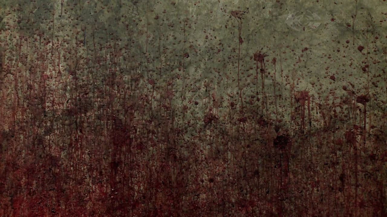 Backdrop – La parka