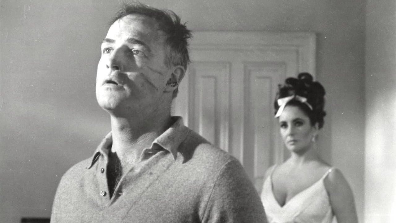 Backdrop – Spiegelbild im goldenen Auge