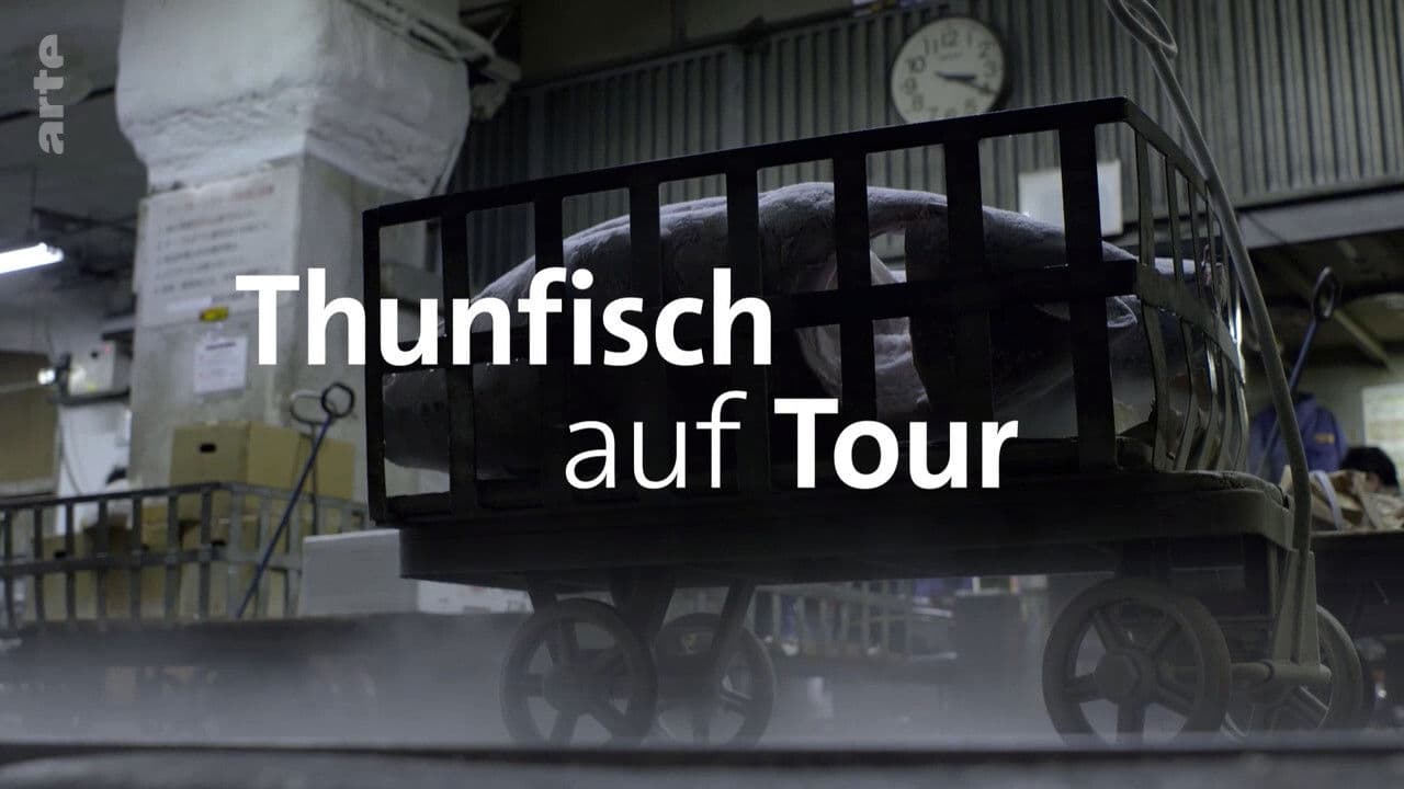 Backdrop – Thunfisch auf Tour