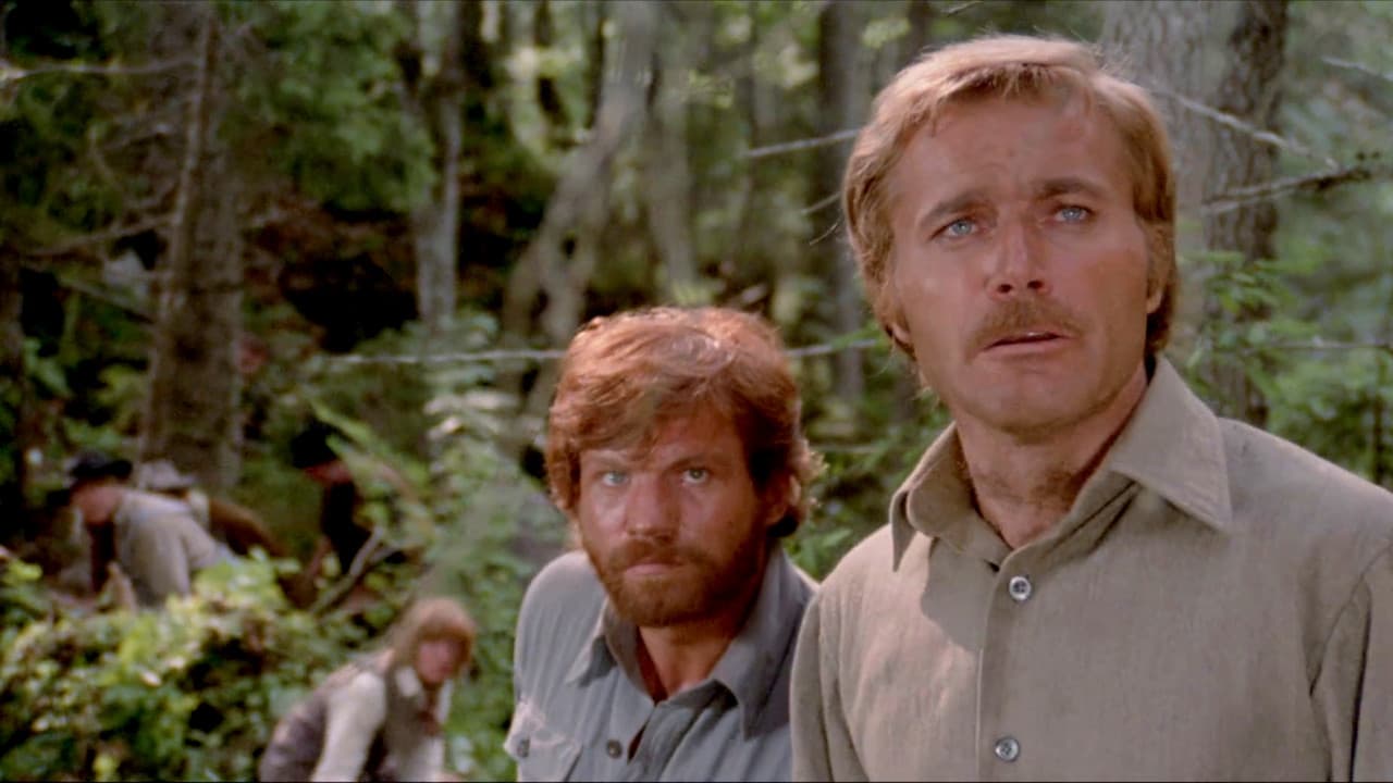 Backdrop – Jack London's Wolfblut