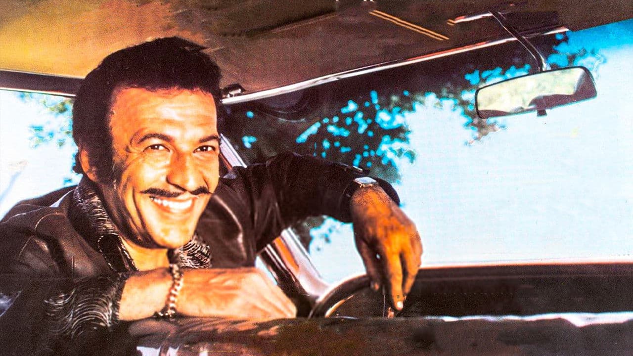 Backdrop – Dikiz Aynası