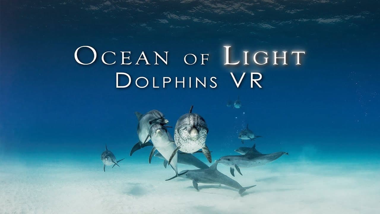 Backdrop – Ocean of Light - Dolphins VR