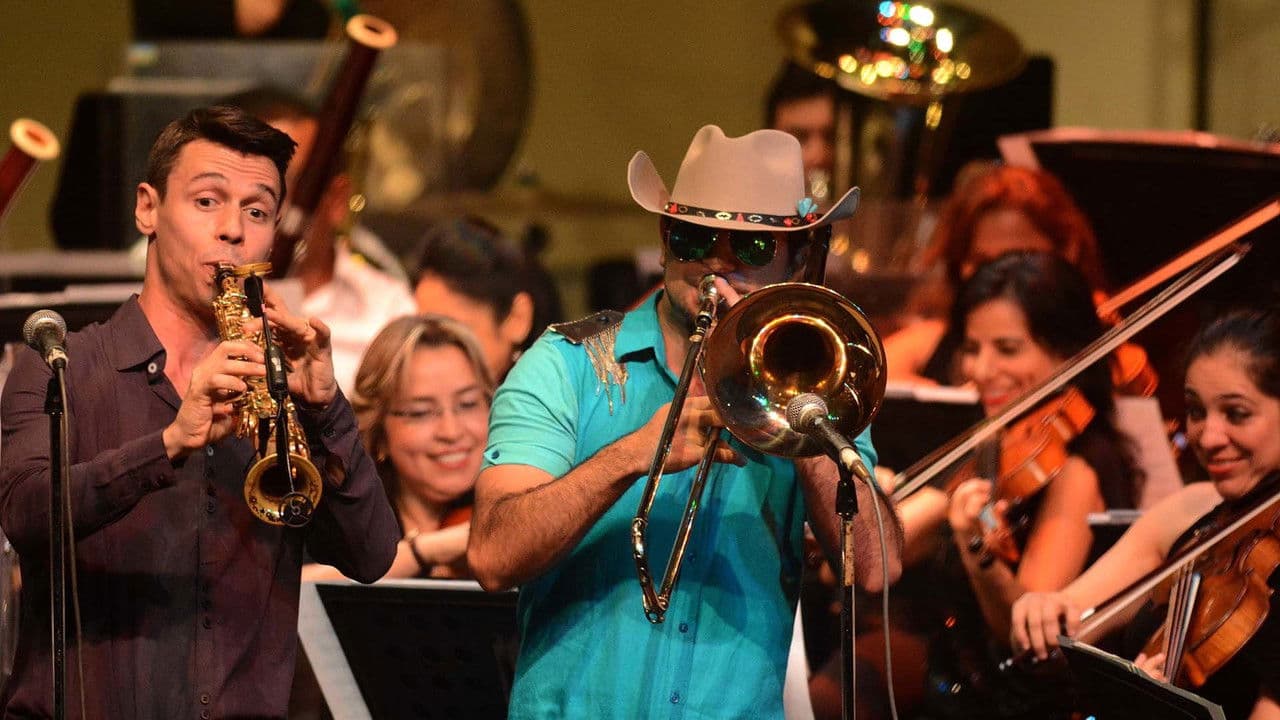 Backdrop – Puerto Candelaria - Amor y Deudas