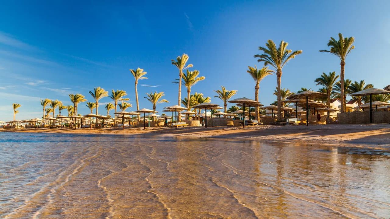 Backdrop – Egypt: Hurghada