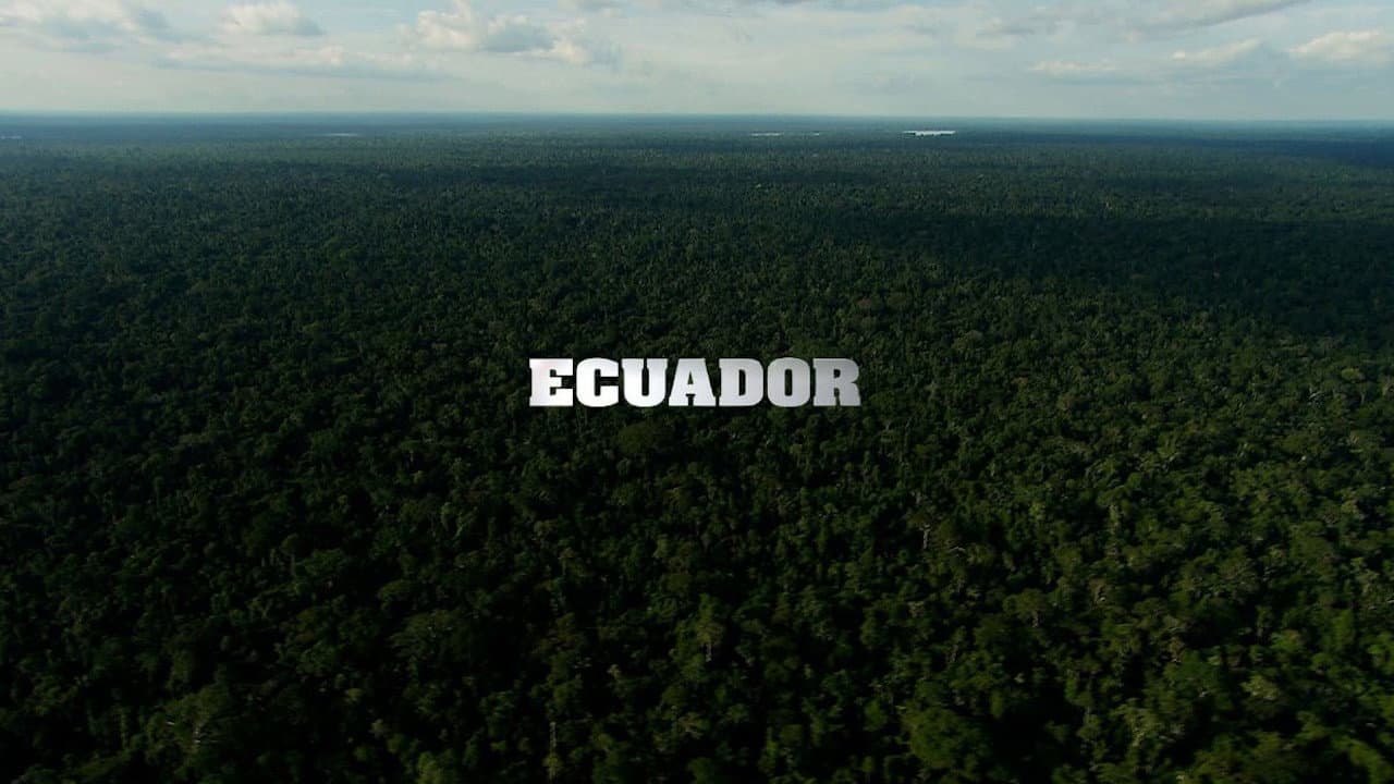 Backdrop – Ecuador