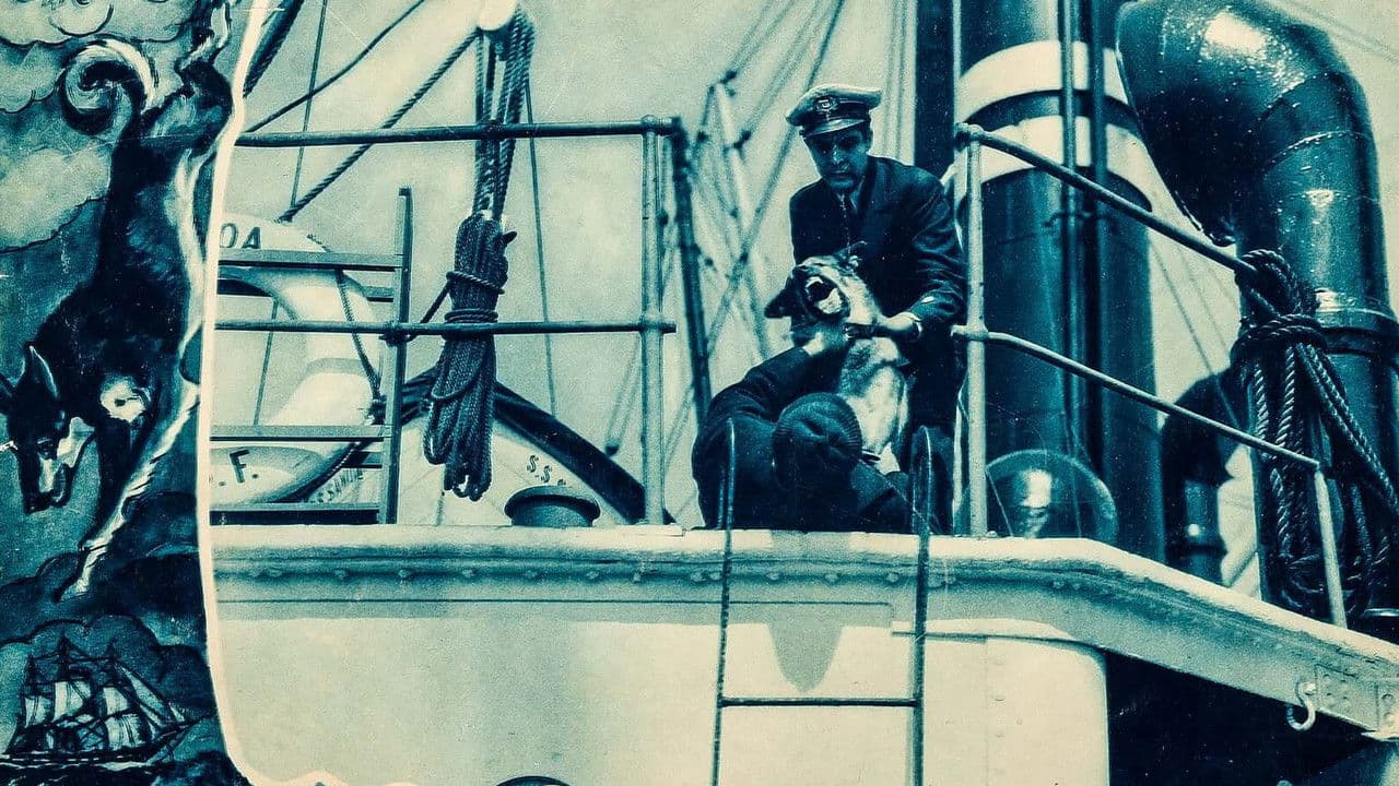 Backdrop – The Wolf Dog