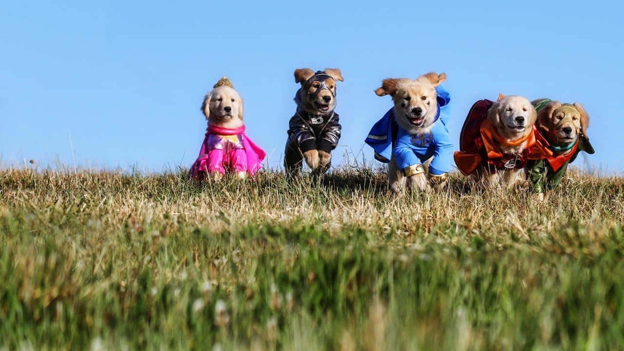 Backdrop – Super Buddies