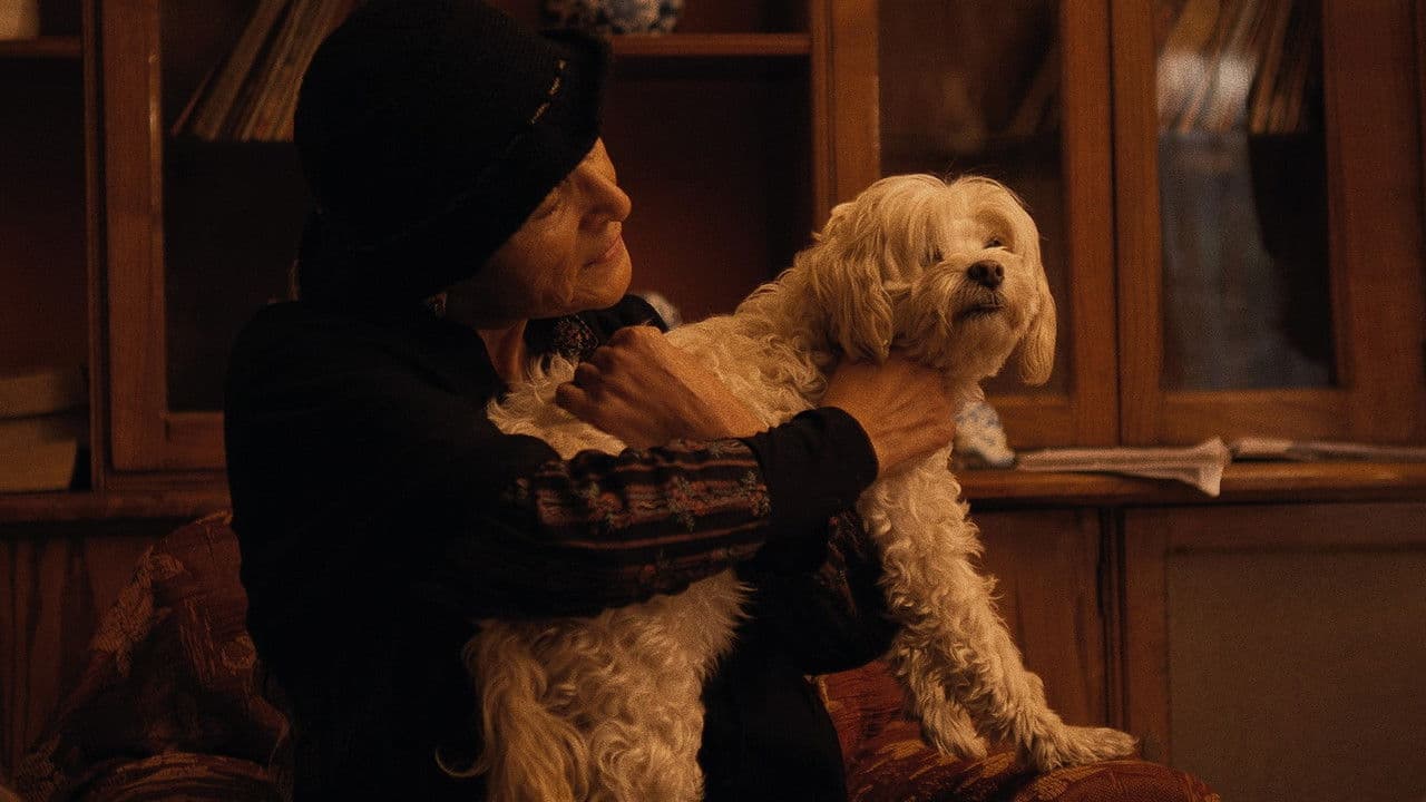 Backdrop – Agua con Azúcar