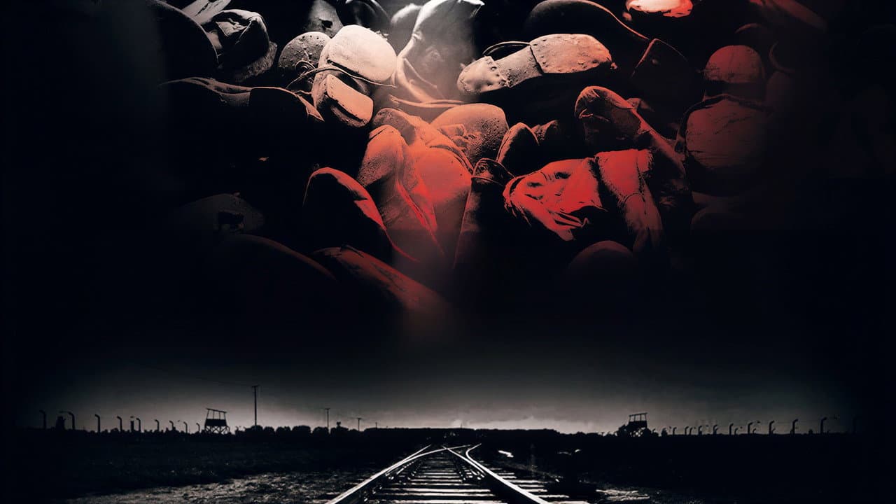 Backdrop – Auschwitz