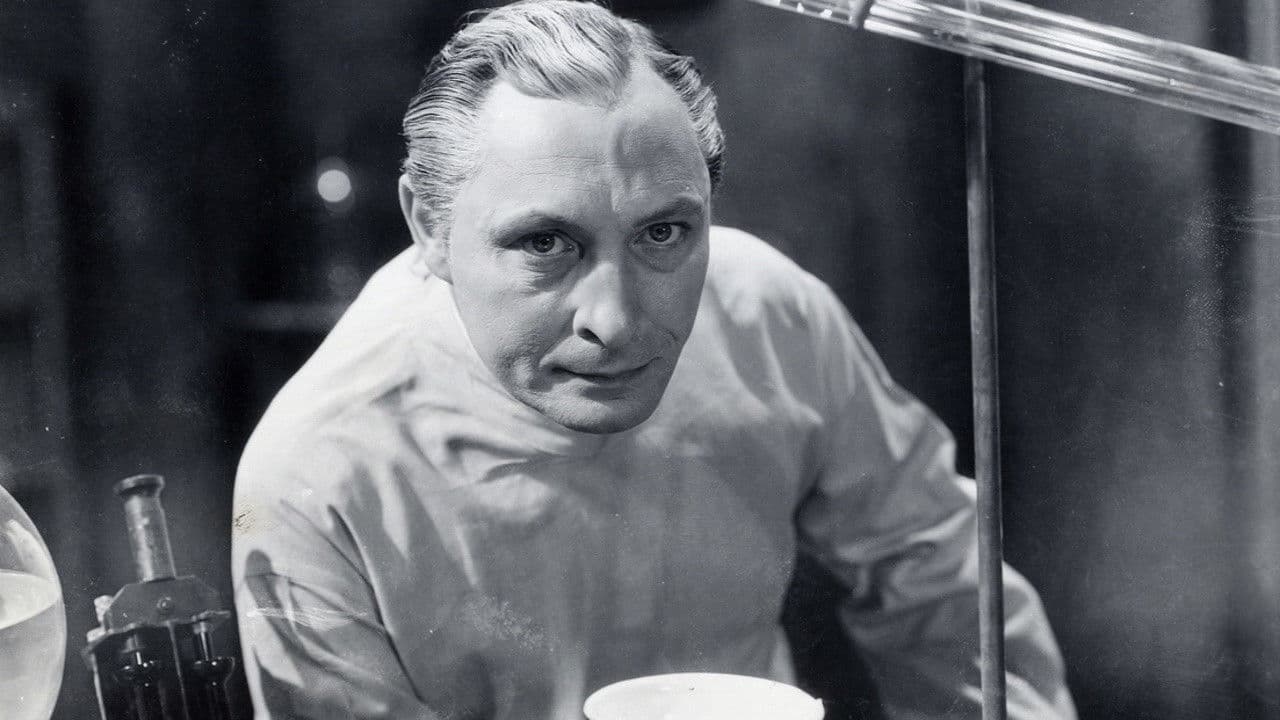 Backdrop – The Vampire Bat