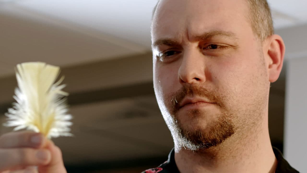 Backdrop – The Feather