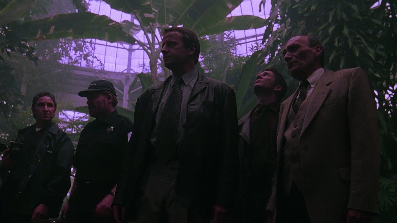 Backdrop – Resurrection - Die Auferstehung