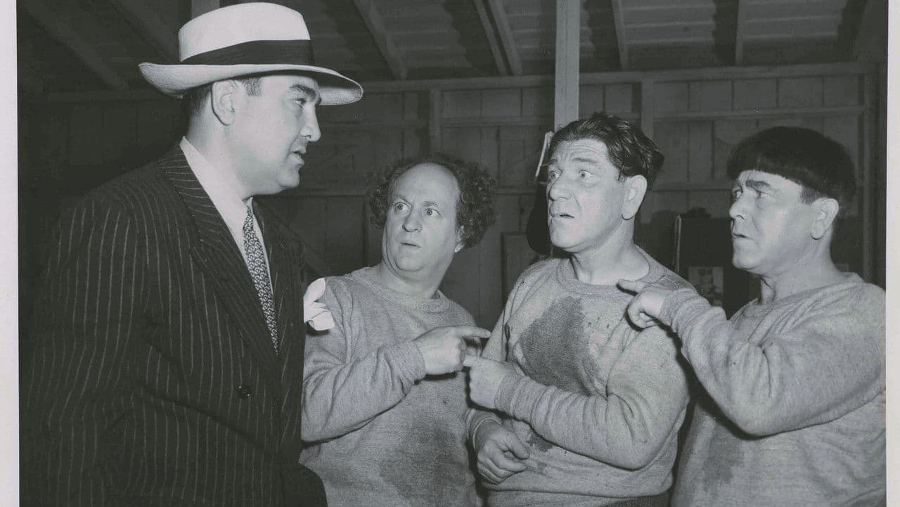 Backdrop – Fright Night