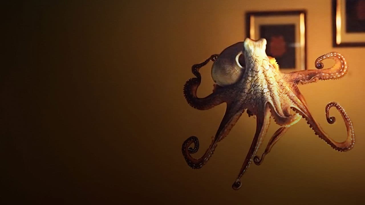 Backdrop – The Octopus in My House