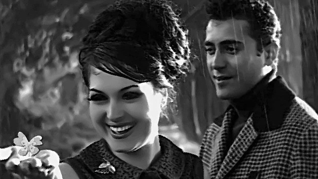 Backdrop – Veda Busesi